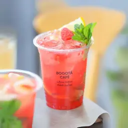Raspberry Mojito